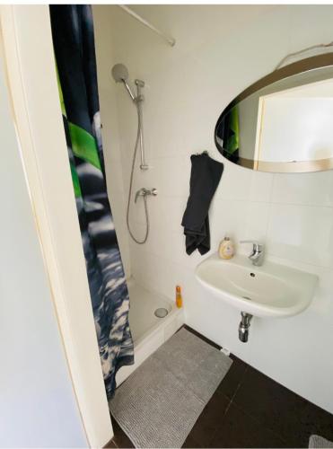 a bathroom with a sink and a shower at NiceApartmentHollergasse 1a in Vienna