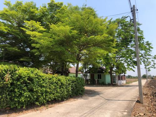 een straat met bomen en een huis met een paal bij Ban Rai Plai Na บ้านไร่ปลายนารีสอร์ท 