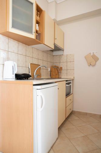 a kitchen with a sink and a dishwasher at Elena luxury living in Paralía Skotínis