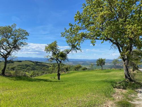 a golf course with trees in a field at La Colombaia Amiata in Arcidosso