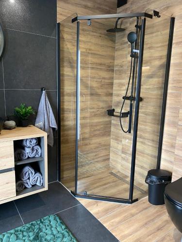 a shower with a glass door in a bathroom at TRZY SOSNY LOFT APARTMENTS in Ściegny