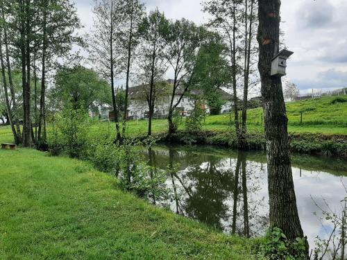 a tree with a bird house on it next to a river at Schöne Wohnung am Bauernhof in Lehen
