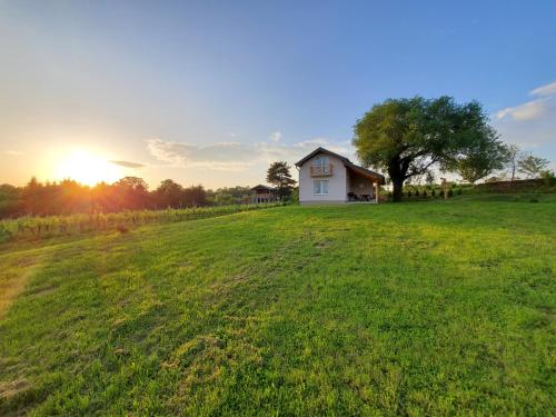 uma pequena casa branca num campo com uma árvore em Holiday home Vinovilla em Kutjevo