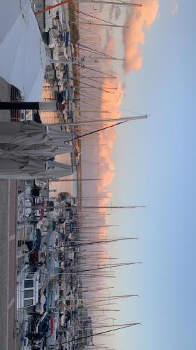 Last Minute Herzliya – Photos 3