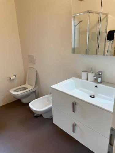 bagno bianco con servizi igienici e lavandino di Nuova dependance a Rovio