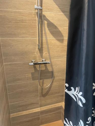 La salle de bains est pourvue d'une douche avec un pommeau de douche. dans l'établissement Cozy one bedroom apartment near the sea, à Tisvildeleje