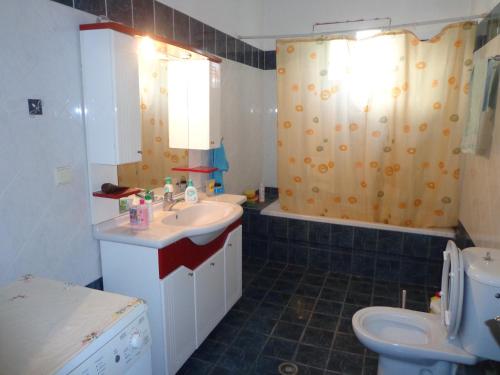 ein Bad mit einem Waschbecken und einem WC in der Unterkunft Country House with fireplace 