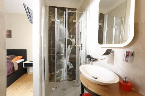 un baño con lavabo y ducha en Eternahof, en Bad Gandersheim
