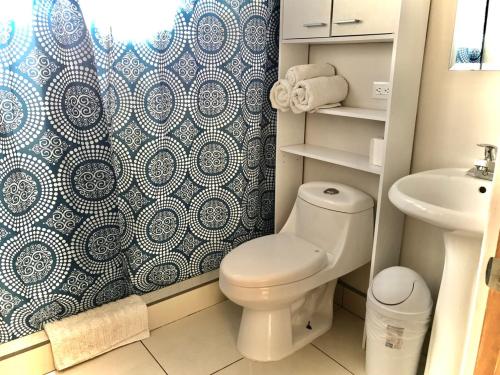 a bathroom with a toilet and a shower curtain at Apartamentos Sacor #1 Studio in Curridabat