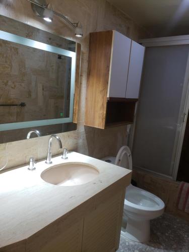 a bathroom with a sink and a toilet at PH Torres Gemelas in Acapulco