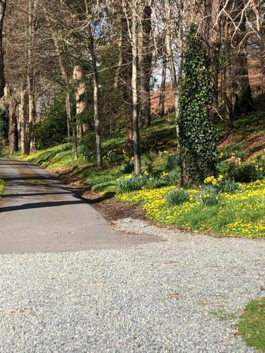 a road with trees and flowers on the side at The Skreen in Builth Wells