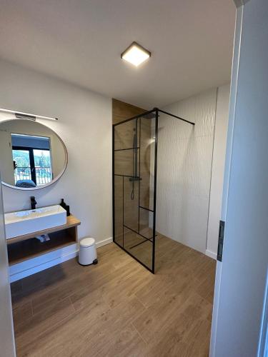 a bathroom with a shower and a sink at Cabana NORD - Ciubăr & Saună - Cazare Transalpina, Cazare Luncile Prigoanei, Oașa, Șureanu in Tău Bistra