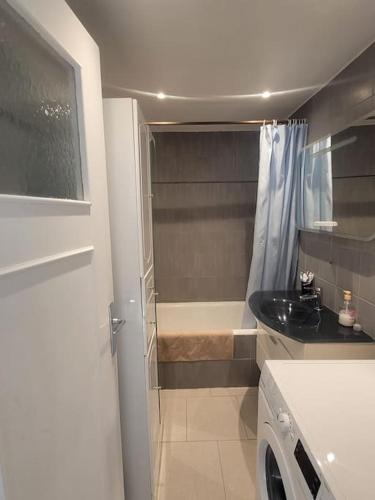 a small bathroom with a sink and a shower at A 12 min du palais des Festivals in Le Cannet