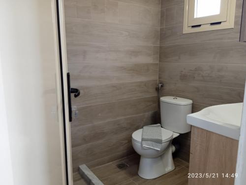 a bathroom with a toilet and a sink at Evoikos beach & resort in Livanátai