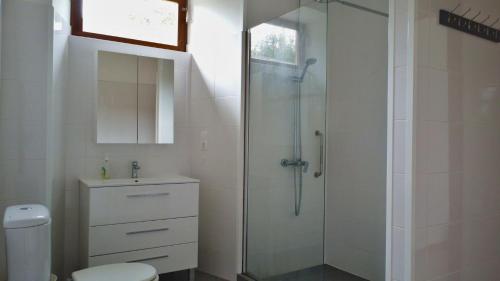 a bathroom with a shower and a toilet and a sink at Azores Haven Hill in Horta