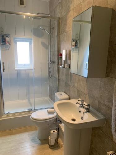 La salle de bains est pourvue de toilettes, d'un lavabo et d'une douche. dans l'établissement Sea to City House, à Whitley Bay