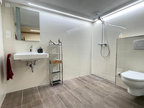 een badkamer met een toilet, een wastafel en een douche bij " Zum alten Schlawiner " in Orsingen-Nenzingen