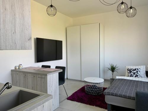a living room with a sink and a tv in a room at AirbnbTřeboň - modern apartment in Třeboň