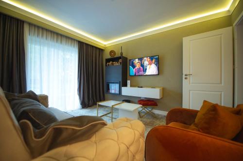 a living room with a couch and a tv at Elexus Predeal in Predeal