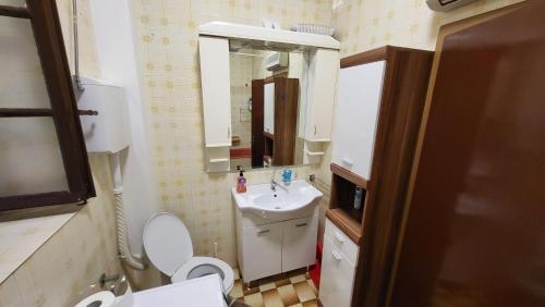 a bathroom with a sink and a toilet and a mirror at Apartment Capt Seferovic 2 in Donji Morinj