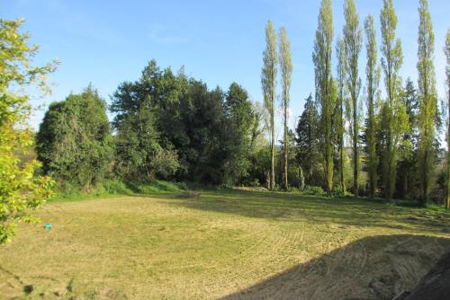 a large grass field with trees in the background at Camping Vieilles Charrues Petit-déjeuner navette et priscine inclus dans le prix proche Carhaix in Motreff