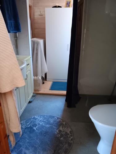 La salle de bains est pourvue de toilettes et d'une douche avec une porte ouverte. dans l'établissement Kabyssen Torsö Mariestad, à Vilsten