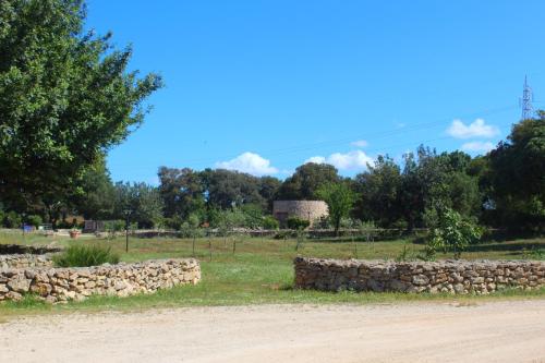 a stone wall next to a field with trees at Tenuta Ferraro Gallipoli in Gallipoli