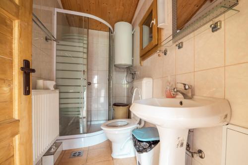 a bathroom with a sink and a toilet at Biotour Camping & Restaurant in Ghimeş
