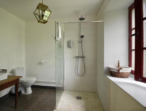 a bathroom with a shower and a toilet at Château - Hôtel Le Sallay in Magny-Cours