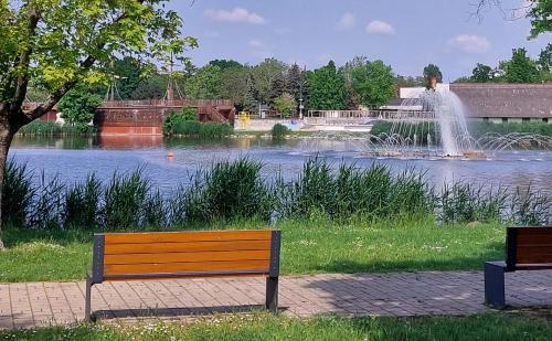 eine Parkbank vor einem See mit einem Springbrunnen in der Unterkunft Sunshine Resort Apartment in Hajdúszoboszló