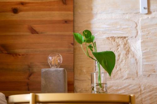 a vase sitting on a table with a plant in it at Laremi Gozo B&B in Nadur