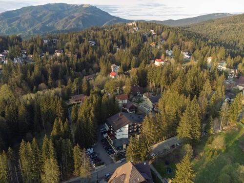 an aerial view of a house in a forest at Elexus Predeal in Predeal