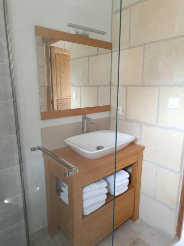 une salle de bain avec un lavabo et un miroir dans l'établissement Gîte de la Grand Maison le Noyer, à Seigy