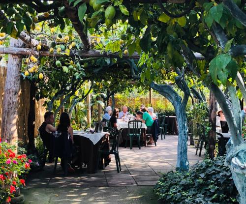 a group of people sitting at tables under a tree at Ciraccio Apartments in Procida