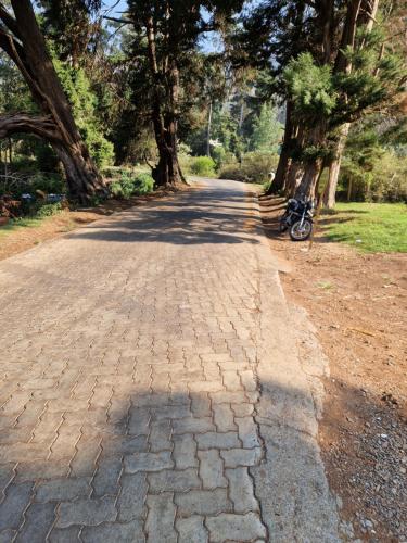 a brick road with trees and a bike parked on the side at Narmada Holiday Home in Ooty