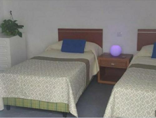 Cette chambre d'hôtel dispose de 2 lits et d'un bal violet sur une table. dans l'établissement Juncalillo Garden, à Las Palmas de Gran Canaria