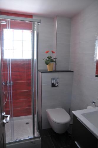 a bathroom with a shower and a toilet and a sink at Apartments Stoudios Georgias in Arkoudi