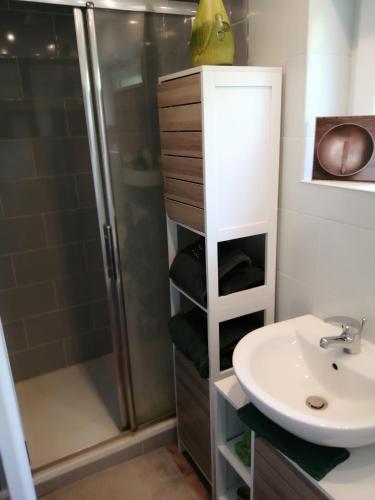 une salle de bain avec douche et lavabo dans l'établissement Le jardin d'Eden, à Troarn