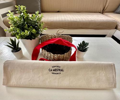 a table with potted plants on it in a living room at Ca Mestral Son Bou Urbanización típica menorquina. in Son Bou