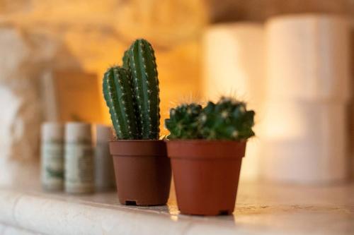 two potted plants sitting on a shelf at Il Trullo Moore Alberobello in Alberobello