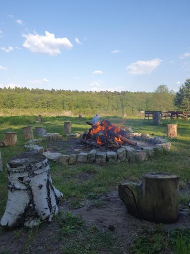 Gallery image of Mięta in Wągrowiec