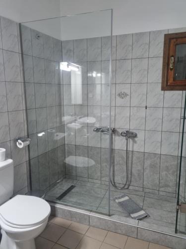 a bathroom with a shower and a toilet at Zeus Apartman in Panagia