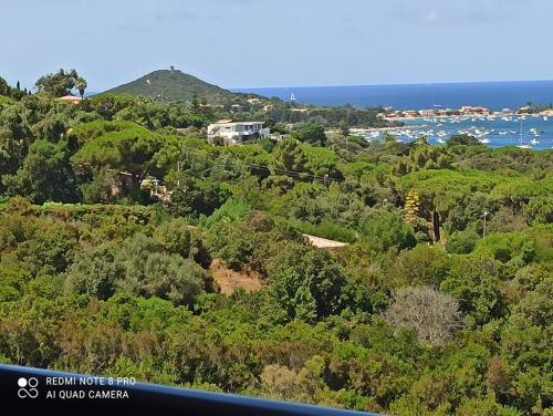 - une vue sur une colline arborée et l'océan dans l'établissement La Civita Piétrosella, à Pietrosella