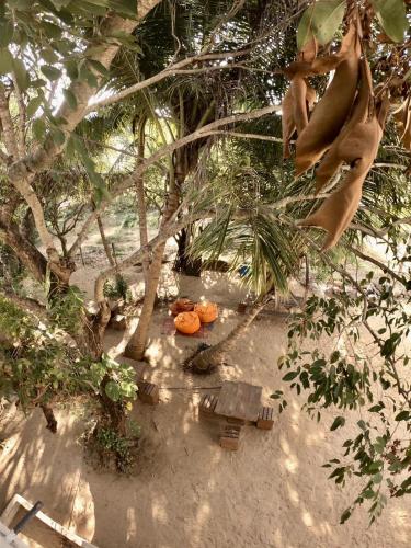 Φωτογραφία από το άλμπουμ του Hangover Hostels Arugam Bay σε Arugam Bay