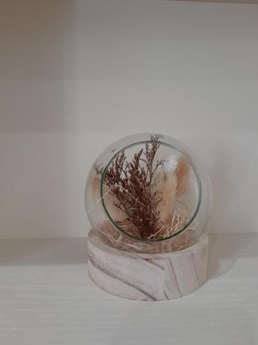 a glass bowl with a plant inside of it at Dimora Pié del Castello in Conversano