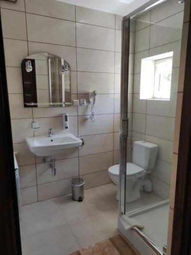 a bathroom with a sink and a toilet at Rezydencja Bukowy Dwór in Czarna