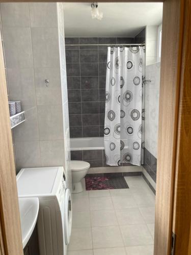 łazienka z toaletą i zasłoną prysznicową w obiekcie 2 Rooms Apartment in Michalovce w mieście Michalovce