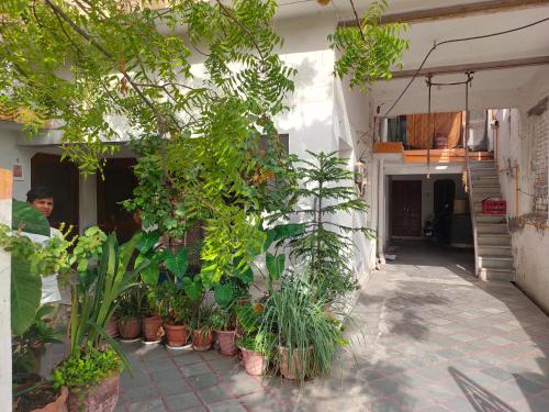 un corridoio con piante in vaso sul lato di un edificio di Royal Guest House a Bharatpur