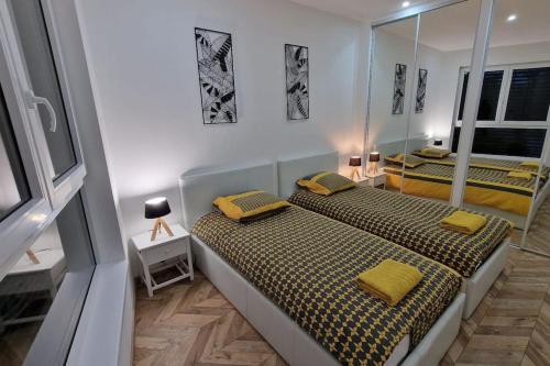 two beds in a small room with a mirror at AOG PRESTIGE logement neuf avec SPA et écran de cinéma en rez de jardin in Colmar