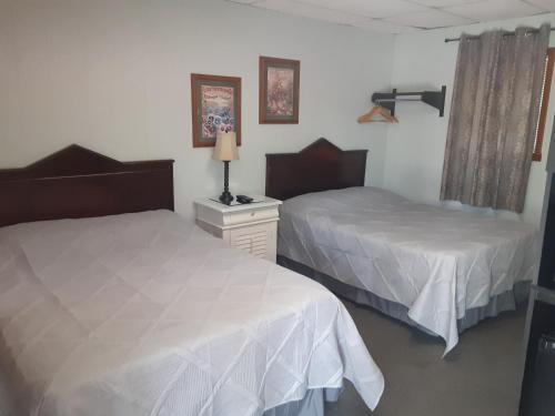 1 dormitorio con 2 camas y mesita de noche con lámpara en HICKORY SHADES MOTEL en Nashville